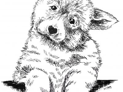 animal drawing – Peaceful Rain D. S. animal drawing – Peaceful Rain D. S.